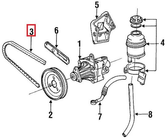 Accessory Drive Belt (10x800)